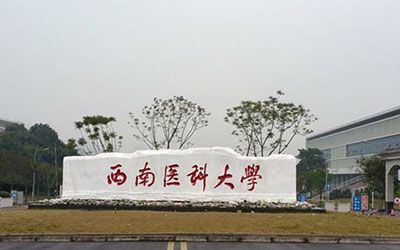 西南医科大学继续教育学院