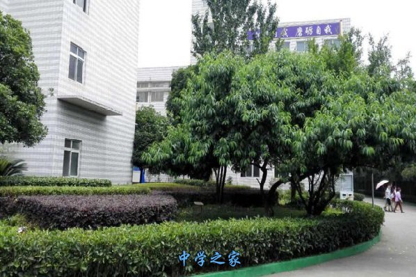 成都市中山职业技术学校开设了什么专业管理如何